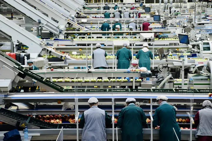 Trabalhadores de costas em uma linha de produção
