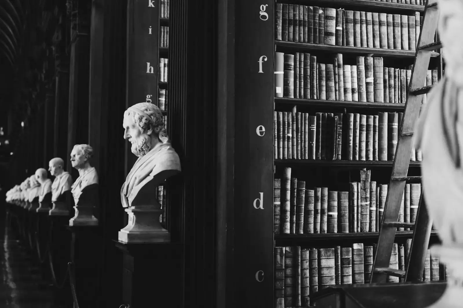 Biblioteca jurídica com bustos